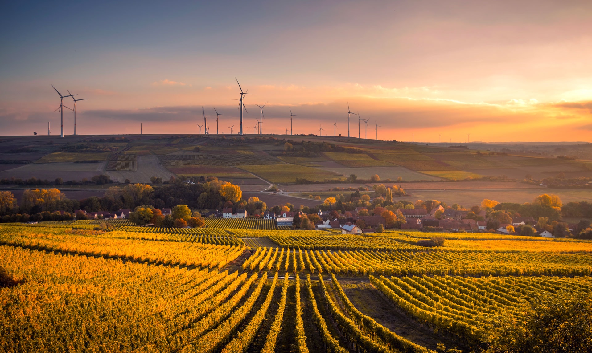 ITE Group Innovazione, tecnologia, efficienza