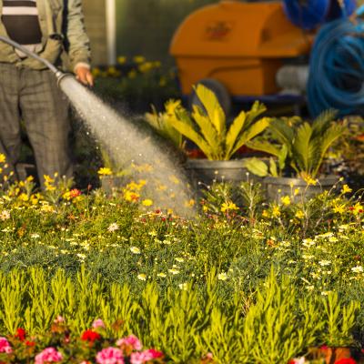 a-man-watering-flower-seedlings