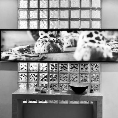 Avvocati Del Duomo interni