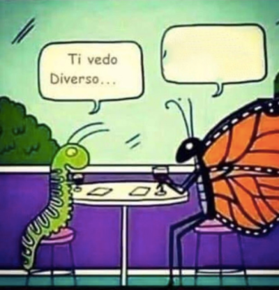 il bruco e la farfalla