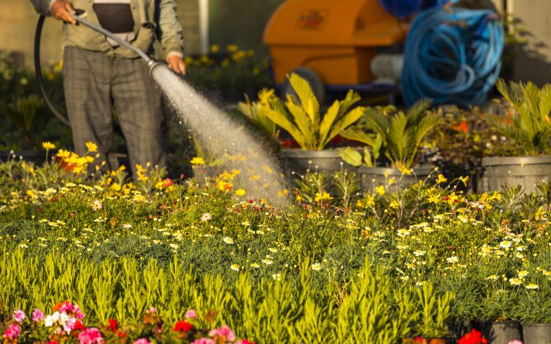 a-man-watering-flower-seedlings