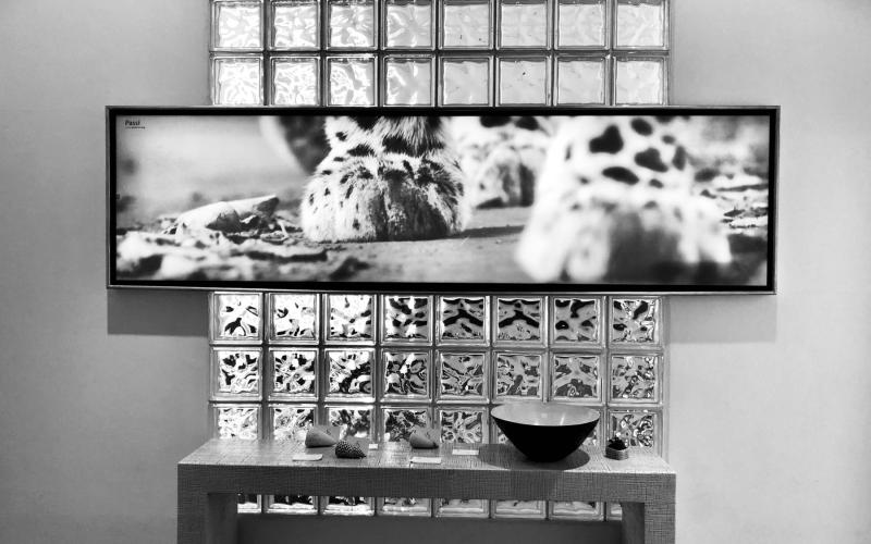 Avvocati Del Duomo interni