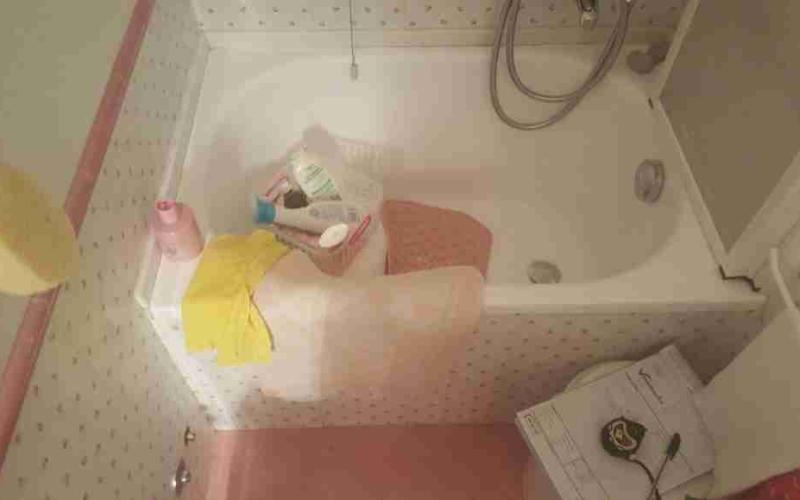 Vasca Faciale - Sportello per vasca, prima