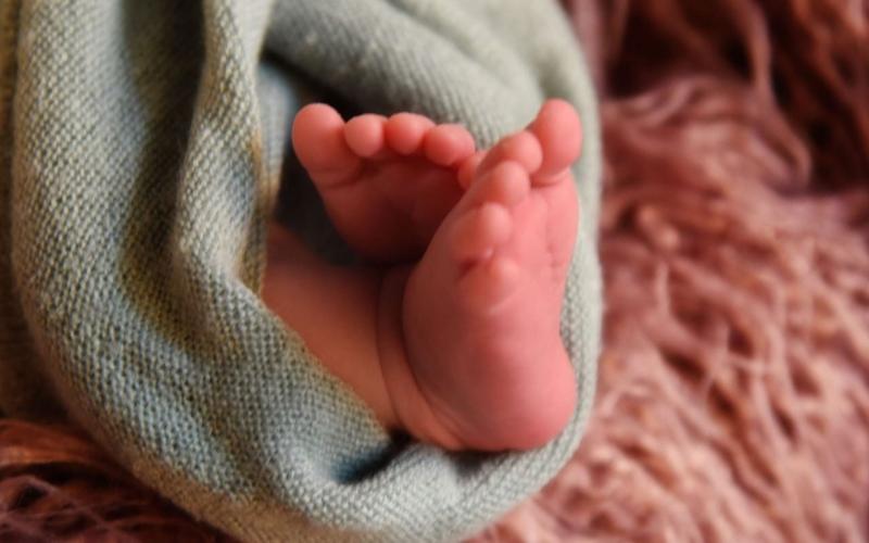 Foto studiotre di Michele Armento - 