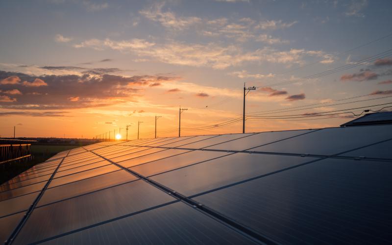 LIECI Srl Impianti Elettrici E Tecnologici - 